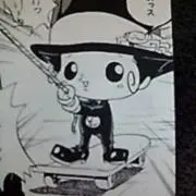 カモメの画像