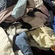 にゃんちゅ〜の画像