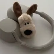 rの画像