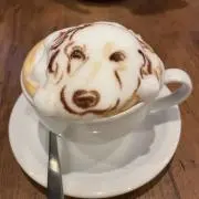 金時の画像
