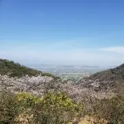 たーぼの画像