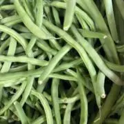 ⭐️ふく⭐️の画像
