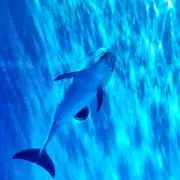 ★★★プロフィール必ずお読みください！の画像