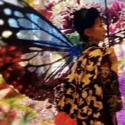naomix 703modernの画像