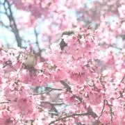 うどんの画像