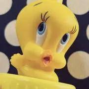 お玉ちゃんの画像