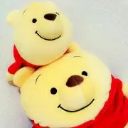 あやにる