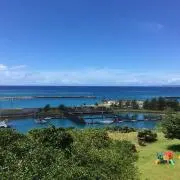 キララ★の画像