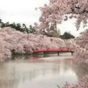 ゆいな