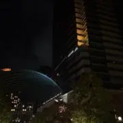 ミニの画像
