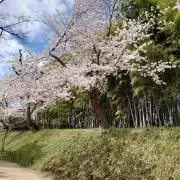 レプトン☆の画像