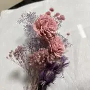 momoの画像