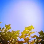 海（いいねお値下げ交渉○）の画像
