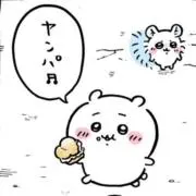 m mの画像