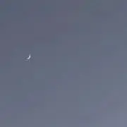 にこの画像