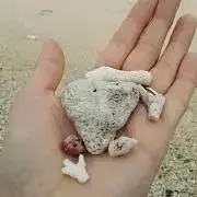 ふくふく★詳細はプロフィールにて