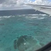 しゅんの画像