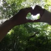 ammnの画像