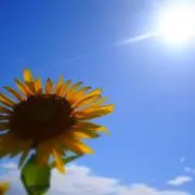 hwa ※プロフィール必読※の画像