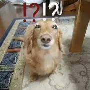 zyonn