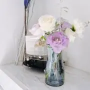 さなぺこ│ 翌日発送