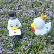 ちび。の画像