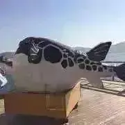 ふぐたろう⭐︎の画像
