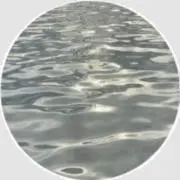 くまの画像