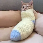まぁーさんの画像