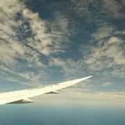 Shinの画像