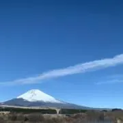 まぐのりあの画像