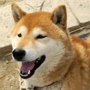 ともちゃん農園の画像