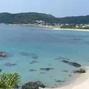 みかんの画像