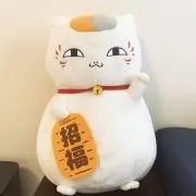 Yukieの画像