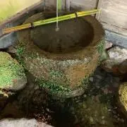 とみりんこの画像