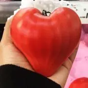 ユリ