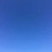 ちーの画像