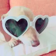 ♡ムース♡House☆の画像