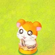 MINAの画像