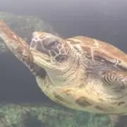 ＫＴＳの画像