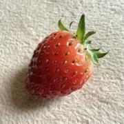 いちごの画像