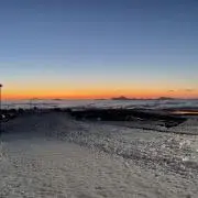 suveの画像