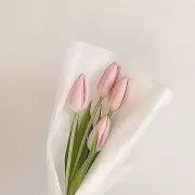 mの画像