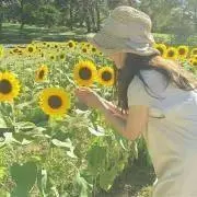 ひまわり☀️フォロー限定割の画像