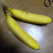 姫の画像