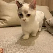りーの画像