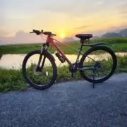 Sunnyの画像