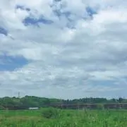 natsuuuの画像