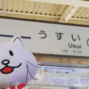 にこるの画像