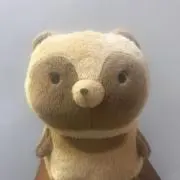 まゆきち